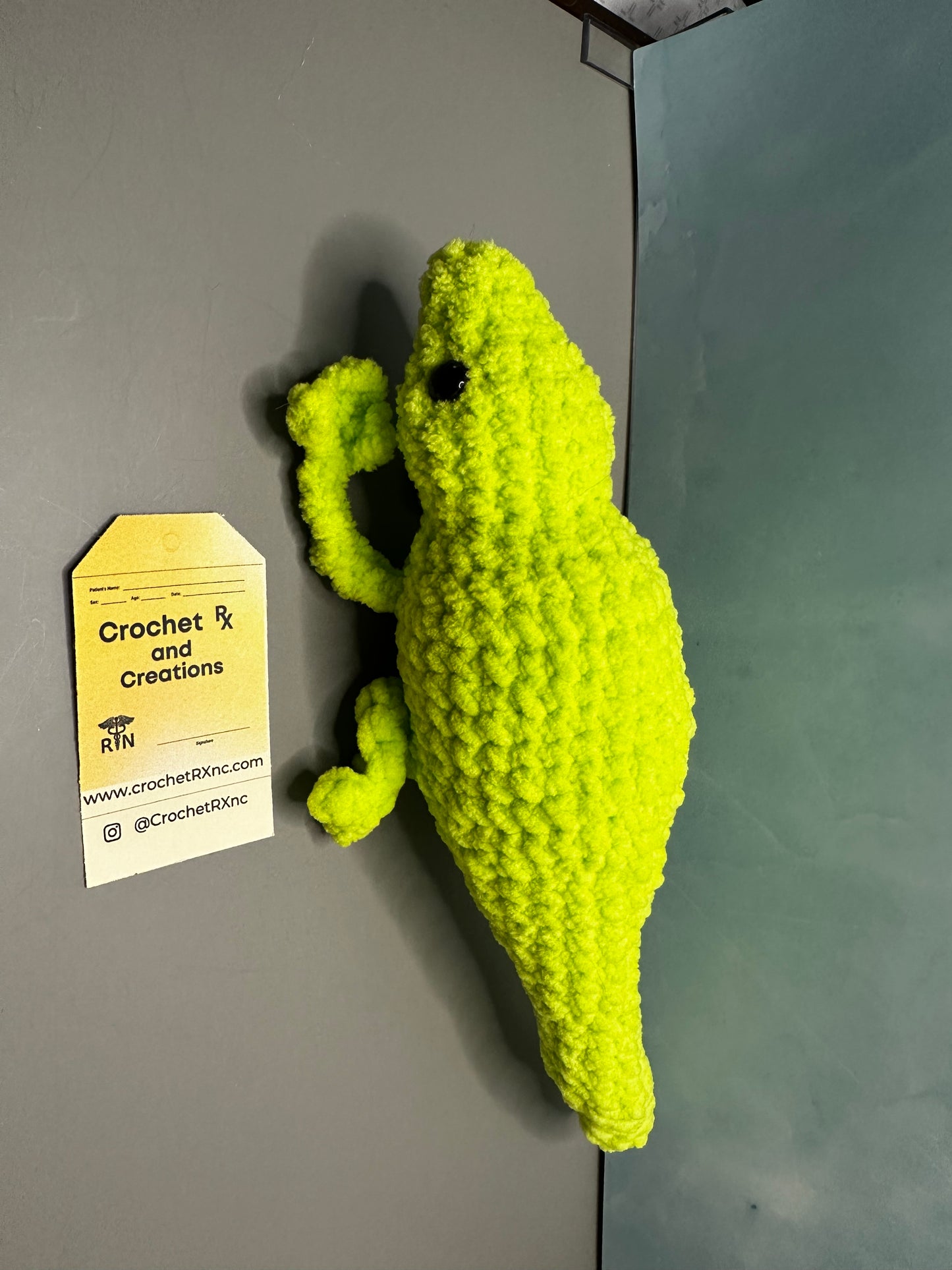 Lizard / Gecko