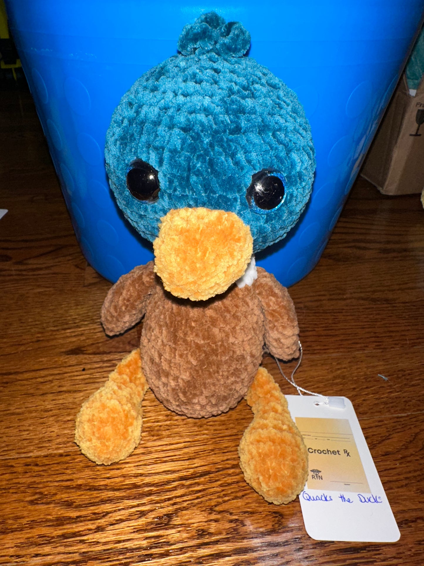 Mallard Duck