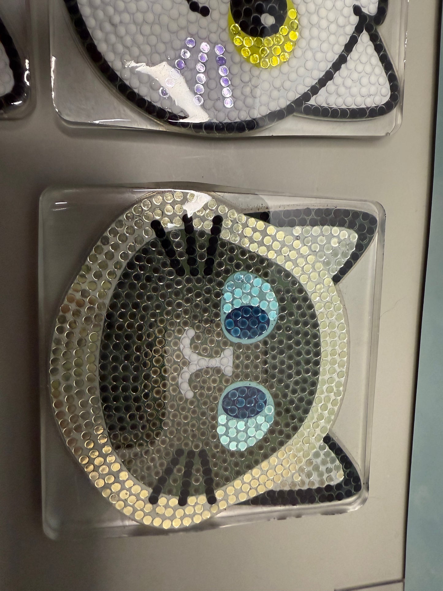 Large cat coasters