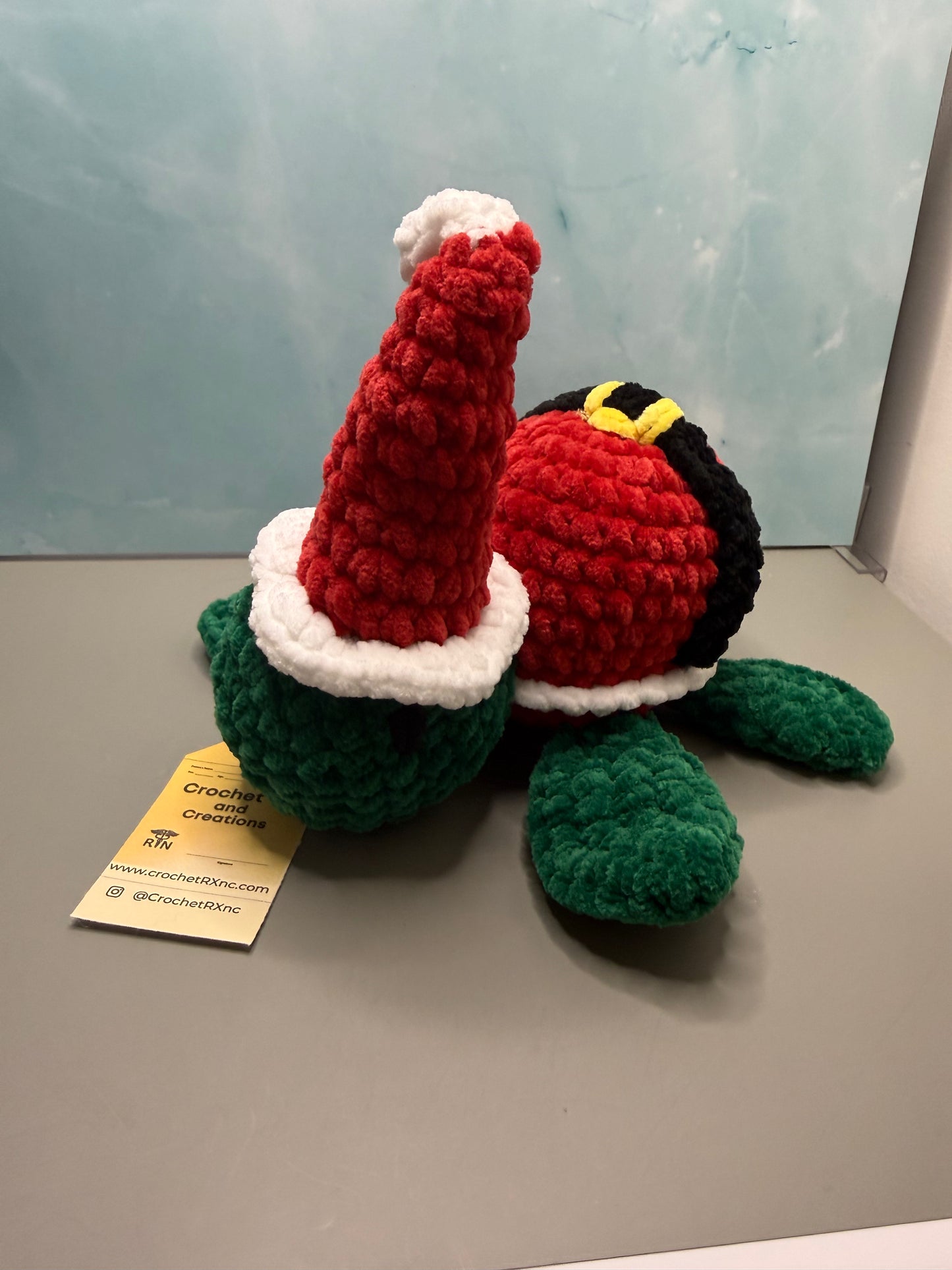 Santa Turtle