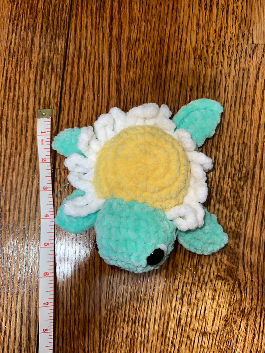 Daisy Turtle