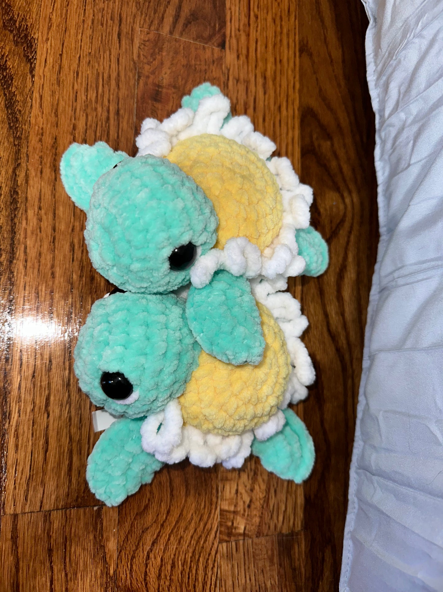 Daisy Turtle