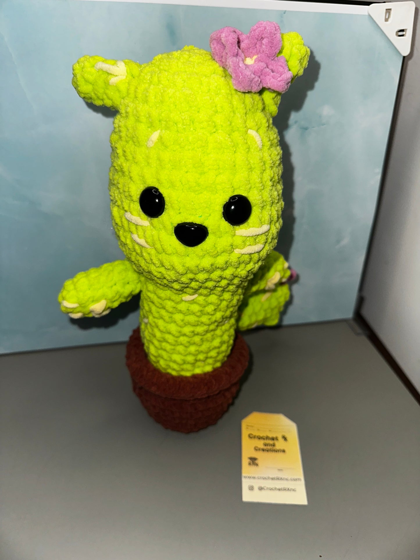 Potted Cat Cactus
