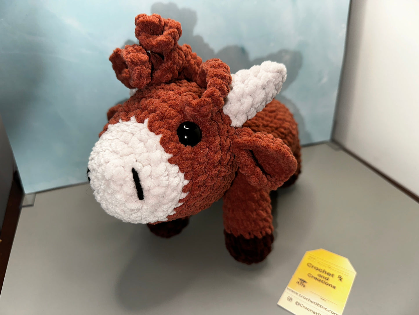 Highland Cow