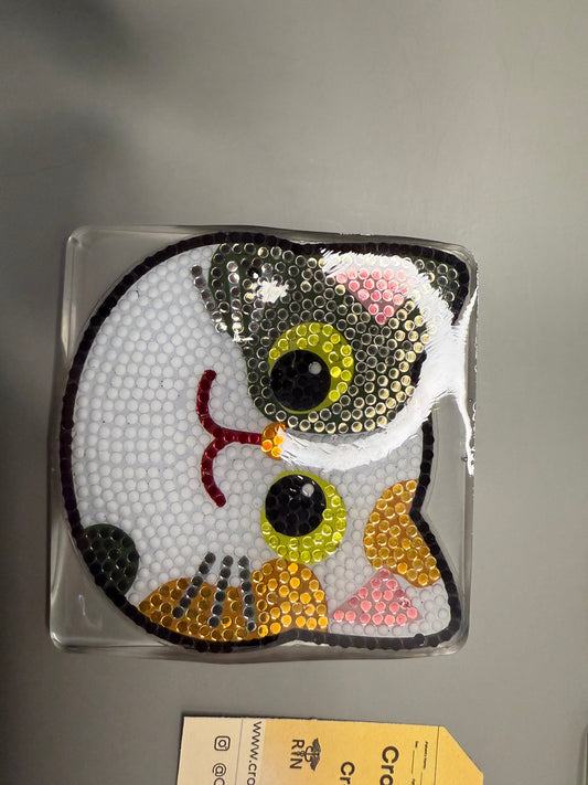 Large cat coasters